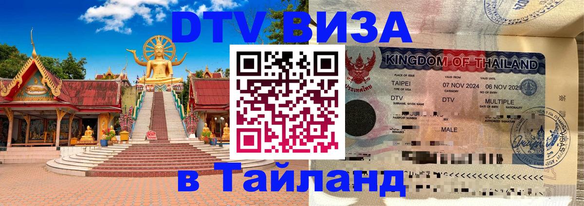 Сколько стоит DTV виза — актуальные цены, оформление даже без документов - 21.11.2025 